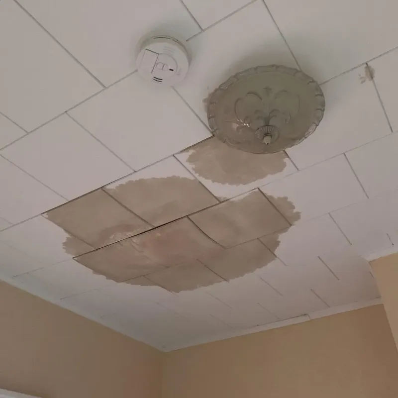Ceiling Water Damage Repair in Saint John the Baptist Parish, LA